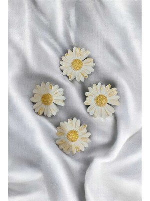 Bernami Nikah Pinterest 4’lü Papatya Magnet , Buzdolabı Magneti