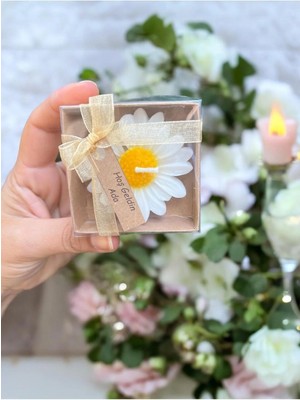 Bernami Nikah Pinterest Mum, Nikah Şekeri, Doğum, Nikah Nişan Söz, Kına, Doğum Günü 20 Adet Papatya Kurdele Süslemeli Mum