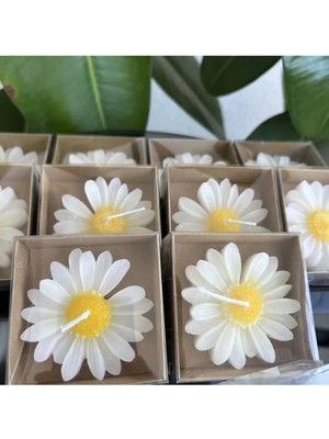 Bernami Dekoratif Pinterest Offcial 24 Adet Papatya Mum Hediyelik Nişan, Nikah, Söz, Doğumgünü, Doğum