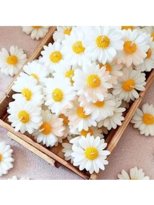 Bernami Şamdan Pinterest Papatya Mum - 30 Adet