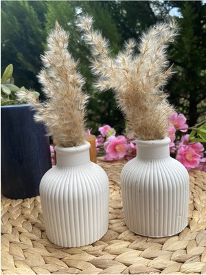 Bernami Düğün Pinterest Pampas Vazosu, Iskandinav Dekoratif Beton Vazo Biblo 10 cm Çok Şık 2 Li Takım
