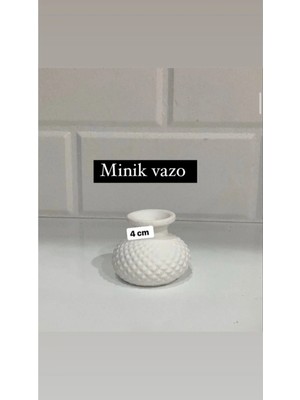 Bernami Dekoratif Pinterest Minik Vazo