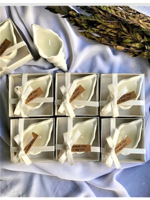 Bernami Mevlüt Pinterest 15 Adet Deniz Kabuğu Mum Hediyelik Söz Nişan Doğum Günü Hediyelik Mum