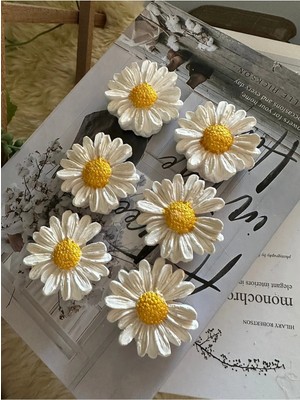 Bernami Şamdan Pinterest 6’lı Papatya Model Dolap Süsü Magnet