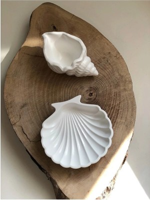 Bernami Dekoratif Pinterest Deniz Kabuğu ve Istiridye Set Beyaz