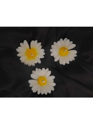 Bernami Şamdan Pinterest Mum Papatya Mum