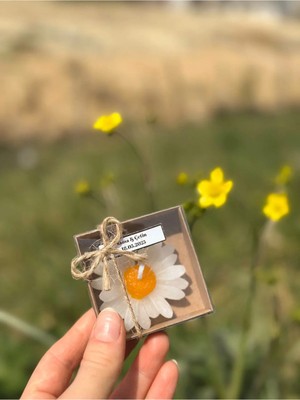 Bernami Dekoratif Pinterest 20' Li Kraft Kutulu Sarı Papatya Mum Hediyelik | Kına, Söz, Nikah, Doğum Günü