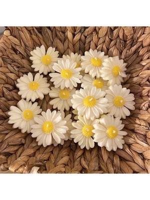 Bernami Düğün Pinterest Offcial Papatya Model Kokulu 5 Adet Mum Söz Nişan Mevlid Düğün Hediyelik