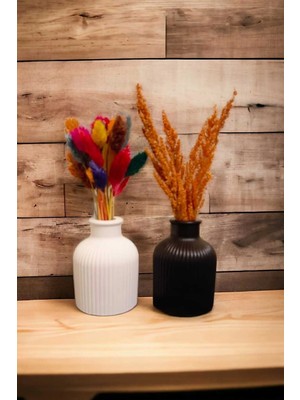 Bernami Dekoratif Pinterest Dekoratif Minimal Pampas Siyah Beyaz 2'li Çizgili Vazo(Çiçekler Dahil Değildir)