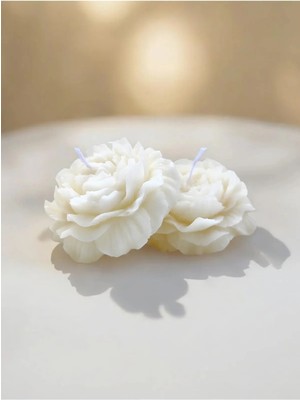 Bernami Nikah Pinterest Ikili Şakayık Beyaz