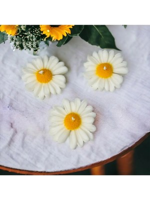 Bernami Şamdan Pinterest 3 Lü Papatya Mum, Papatya Soya Mumu