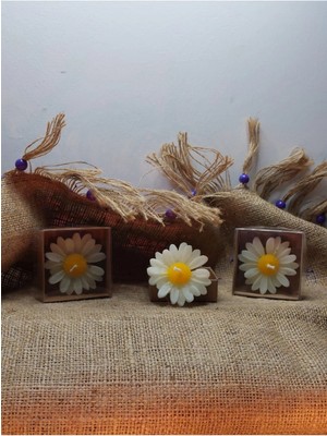 Bernami Dekoratif Pinterest Papatya Şekilli Yüzen Mum, Vazo Için Yüzen Mum, Kokusuz Yüzen Mum 3'lü Set