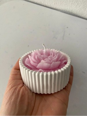 Bernami Dekoratif Pinterest 2 Adet Şakayık Mum Ev Dekorasyon