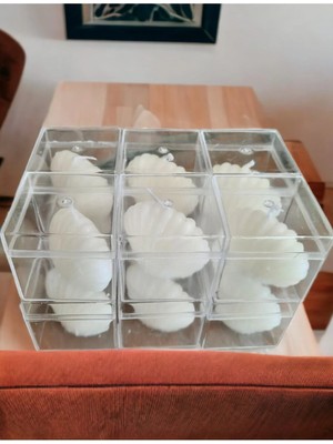 Bernami Dekoratif Pinterest Mika Kutu Içinde Mini Istiridye Mum Seti - 12 Adet