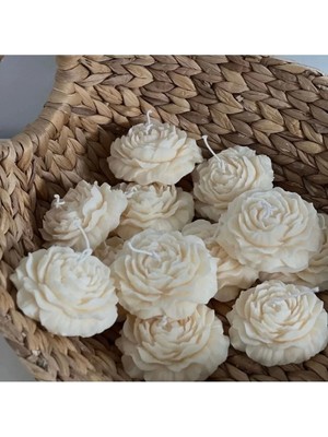 Bernami Şamdan Pinterest Hediyelik Şakayık Mum, Biblo Nikah Nişan Söz Doğum Sünnet Biblo Bride Davet, Beyaz Kutulu 20 Adet