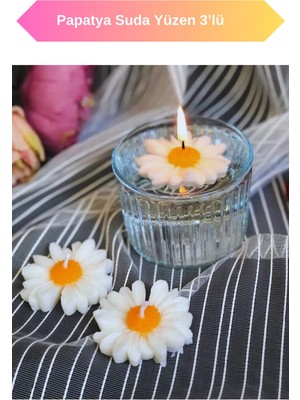 Bernami Şamdan Pinterest Papatya Suda Yüzen 3’lü Set Mum Papatyalı Mum