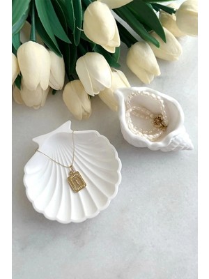 Bernami Dekoratif Pinterest 2'li Beyaz Taş Tozu Deniz Kabuğu ve Istiridye Set