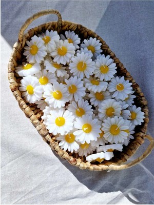 Bernami Dekoratif Pinterest Düğün|nişan|söz|kına|doğum Günü|annelergünü|hediyelik Vanilya Papatya Mum - 30 Adet