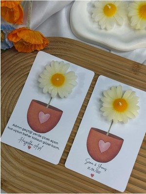 Bernami Dekoratif Pinterest 20 Adet Kartlı Papatya Mum