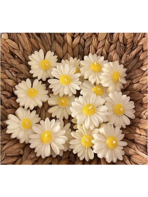 Bernami Dekoratif Pinterest 50 Adet Hediyelik Papatya Mum