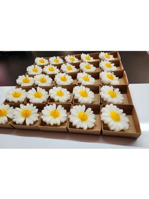 Bernami Düğün Pinterest 50 Adet Kraft Kutulu Papatya Mum Nişan, Söz, Düğün, Doğum Günü, Kına