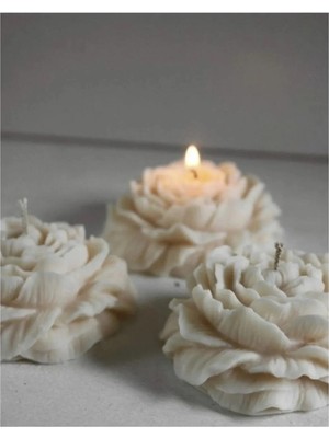 Bernami Nikah Pinterest Şakayık Mum Kokulu 3'lü Set Söz Nişan Nikah Nikah Davet