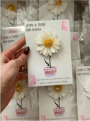 Bernami Nikah Pinterest 10 Adet Süslemeli Papatya , Nikah Şekeri, Doğum, Sünnet, Nikah Nişan Söz, Kına