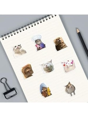 Karokstore Çılgın Kediler Laptop Notebook Tablet Seti