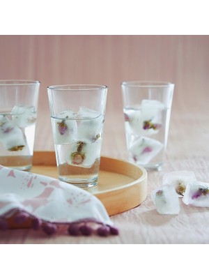 6'lı Meşrubat Bardağı