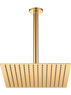 Gpd - Ankastre Duş Seti (Tavandan 300X300) - ADS21-A