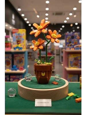 Miniso Turuncu Güngüzeli Mini Çiçek Oyun Bloğu