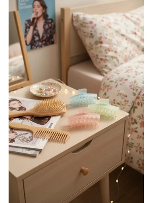 Miniso Basic Serisi Kıskaç Toka  (D)