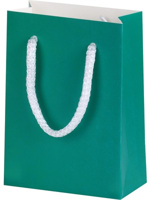 Ambalaj Pazarı Mini Hediyelik Yeşil Karton Çanta 10X5X14 cm - 100 Adet