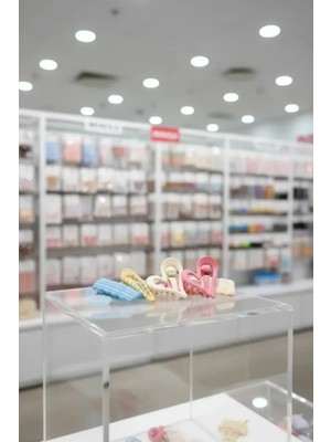 Miniso Çanta Serisi Saç Tokaları (5 Adet)