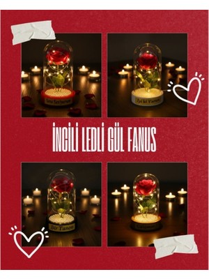 Incili Ledli Gül Fanus