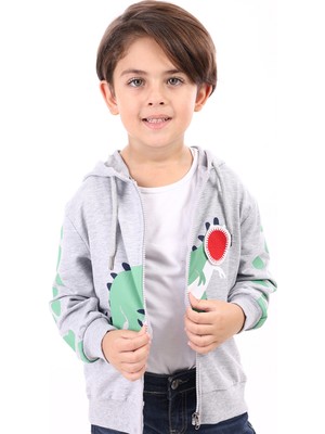 Toontoy Erkek Çocuk Kapüşonlu Fermuarlı Baskılı Örme Hırka - 2 Iplik