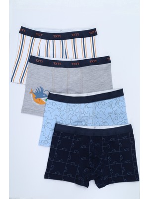 Toontoy Erkek Çocuk Baskılı Pamuklu Lastikli Boxer - 4'lü Paket