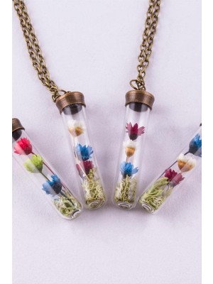 SiHako Çuvuk Mantar Tıpalı Fanus Canlı Kolye