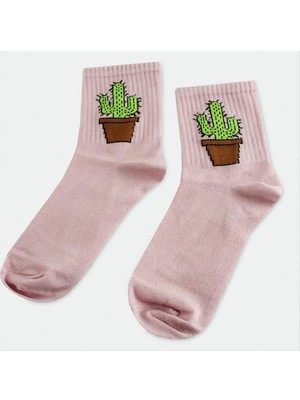 SiHako Kaktüs Kolej Çorap 8*28