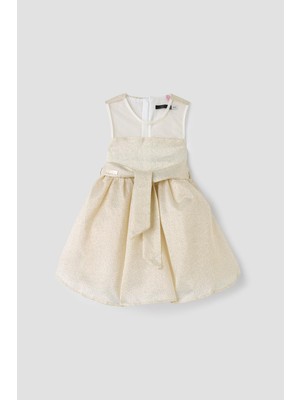 Tyess Bg Store Kız Çocuk Gold Elbise