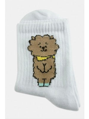 SiHako Köpek Kolej Çorap 8*28