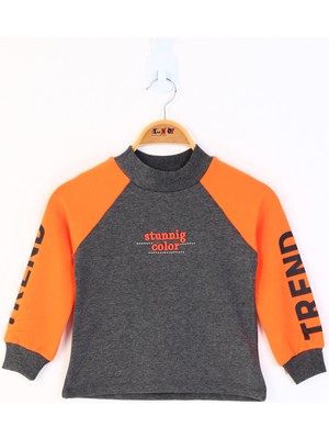 Toontoy Kız Çocuk Relax Fit Dik Yaka Reglan Kol Baskılı Sweatshirt - Renk Bloklu & 2 Iplik