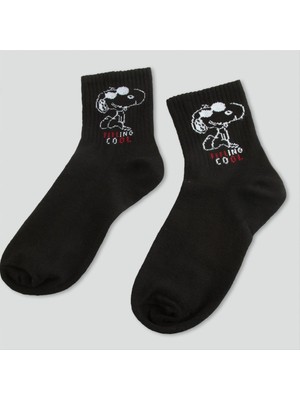 SiHako Kolej Çorap 8*28