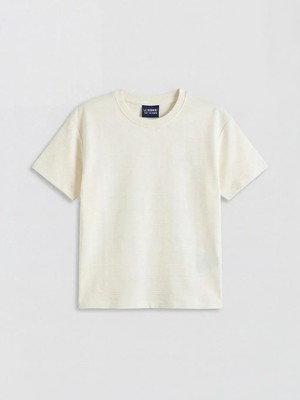 LC Waikiki Bisiklet Yaka Kendinden Çizgili Erkek Çocuk Tişört  (S6)