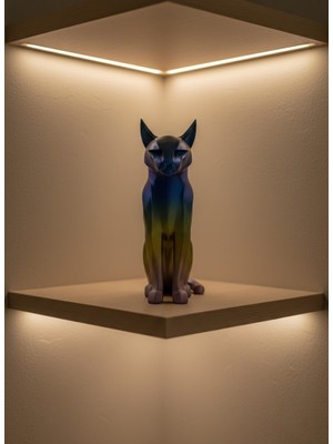 Hayat Store Koyu Rainbow Kedi - Lisinya