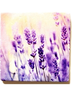 Özgürce Doğal Taş Dekoratif Figürlü Gider Kapağı, Banyo Süsü, 10X10 cm