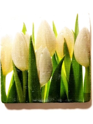 Özgürce Doğal Taş Dekoratif Figürlü Banyo Gider Kapağı 10X10 cm