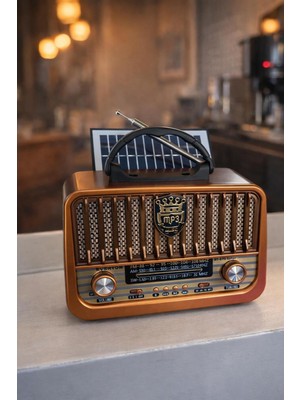 Feyza Design Nostaljik USB Fm Bluetooth Panel Radyo, Şık ve Çok Fonksiyonlu Tasarım