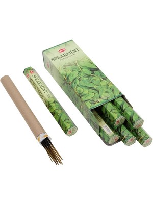 Spearmint Hexa Nemere