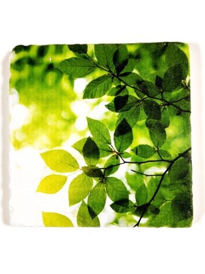 Özgürce Dekoratif Doğal Taş Banyo Gider Kapağı Süsü 10X10 cm